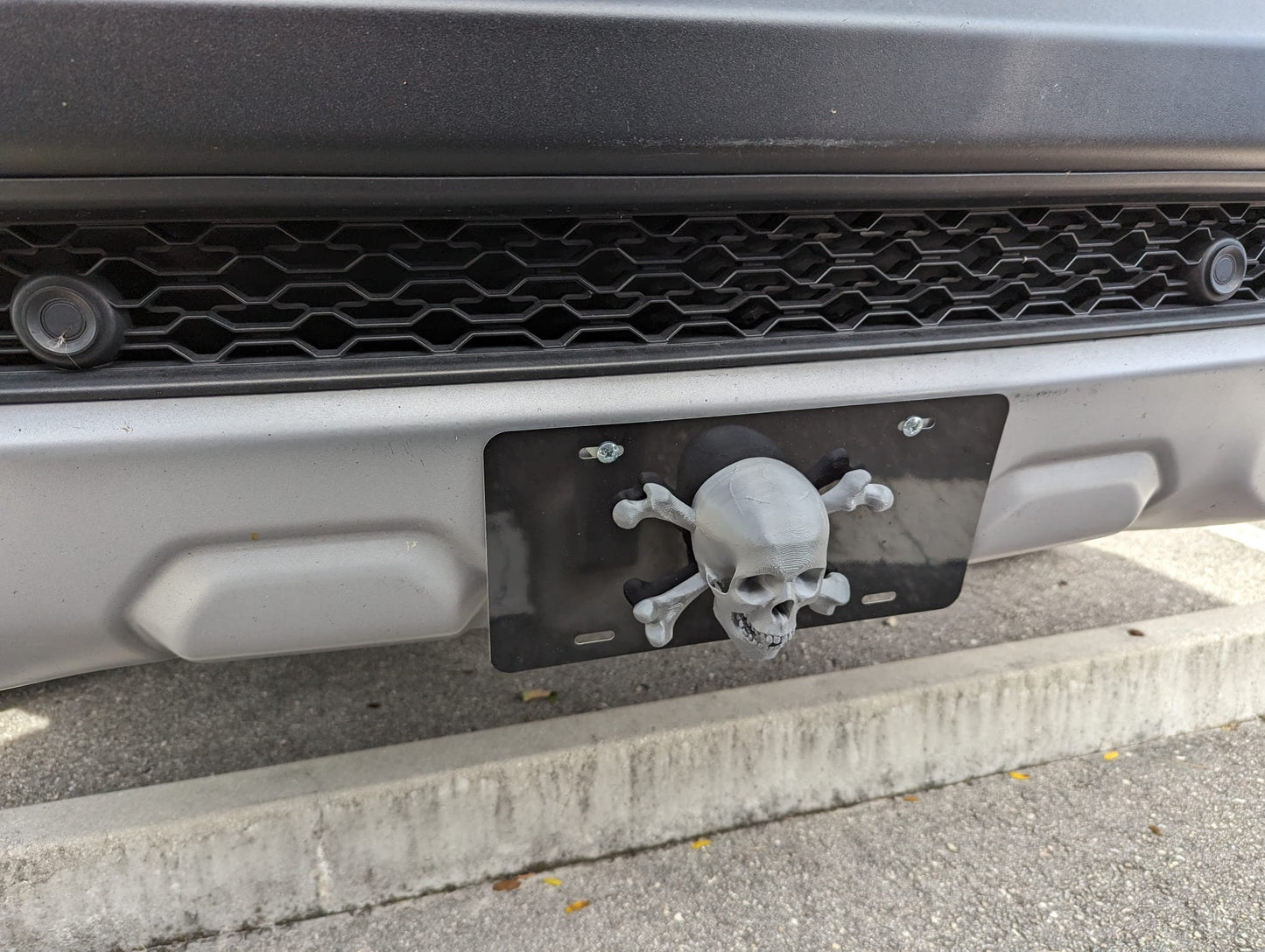 decorative skull front plate