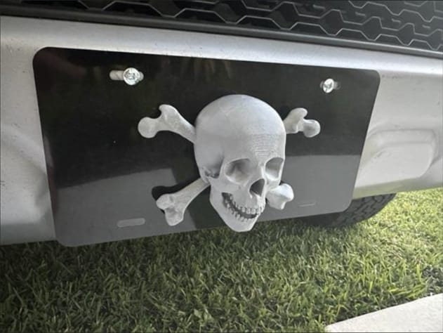 decorative skull front plate