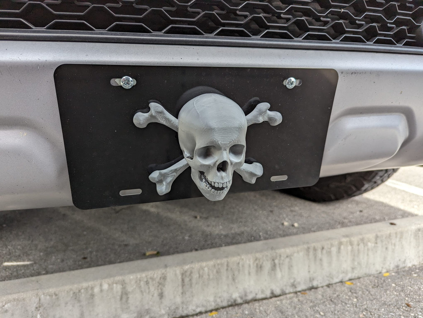 decorative skull front plate