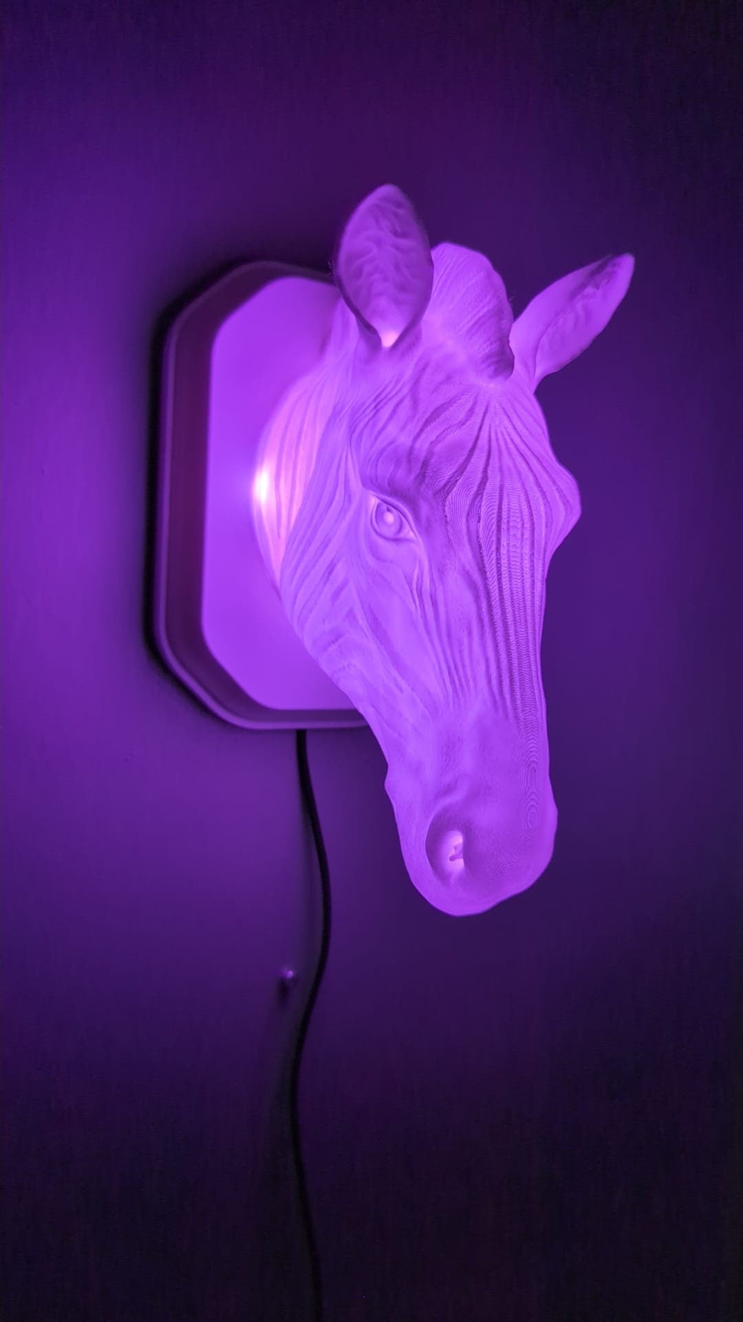 Zebra-inspired wall trophy lamp to decorate your room: bedroom, game room or office.