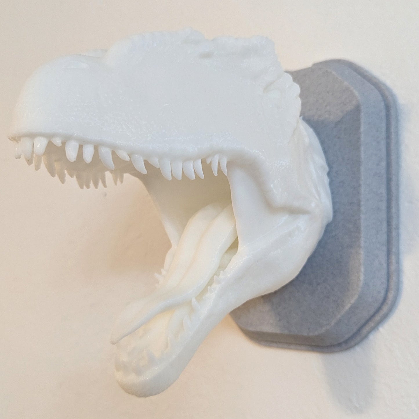 Allosaurus inspired wall trophy lamp to decorate your room: bedroom, playroom or office.